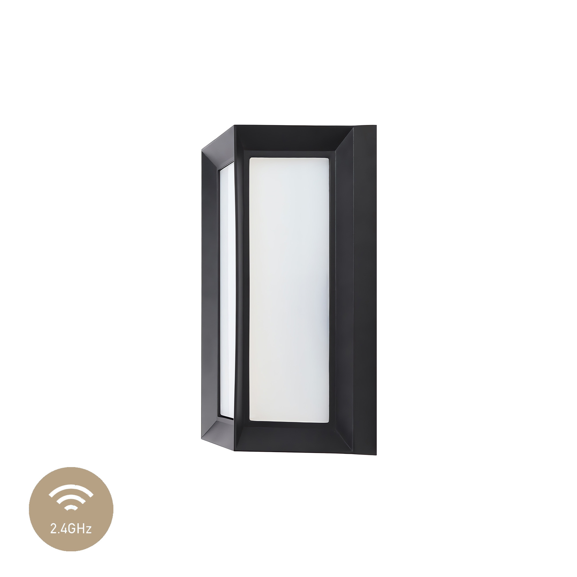 ODESSA Wandlamp Zwart RGB-CCT (2.4G)
