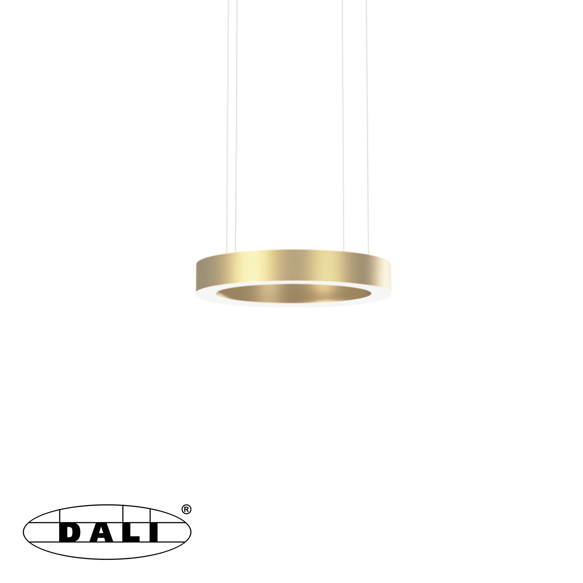OVAL-S Rond Champagne Goud 2700K (DALI)
