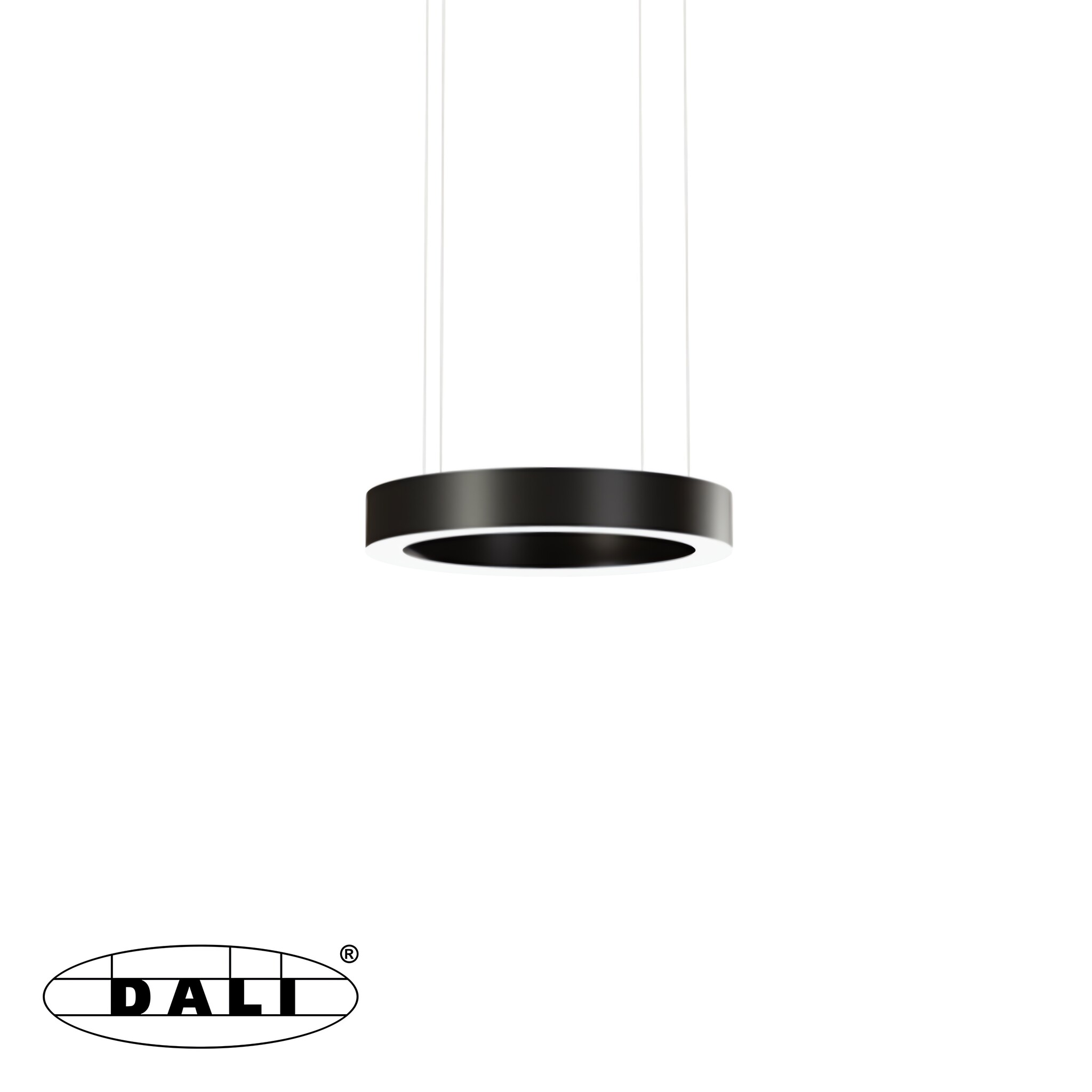 OVAL-S Rond Zwart 2700K (DALI)